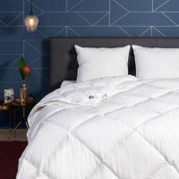 Dekbed Dons 80% Ganzenveren 4 Seizoenen 140x220 Cm Warmteklasse 1 Winter Plus & Warmteklasse 3 Lente Herfst & Warmteklasse 4 Zomer & Anti