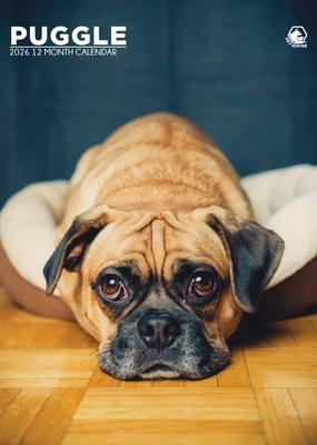 Puggle A3 Kalender 2026