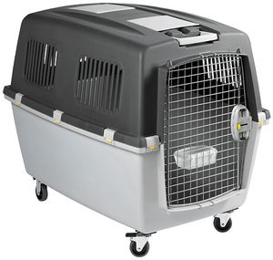 Kerbl 84587 dierendraagtas Vliegtuig-transportbox voor huisdieren