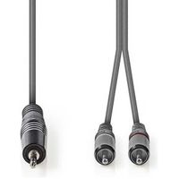 Stereo audiokabel | 3,5 mm male - 2x RCA male | 3,0 m | Grijs