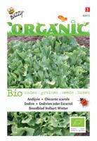 Organic Andijvie Nr. 5 (Skal 14725) Tuinplus - Buzzy
