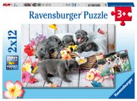 Ravensburger puzzel 2x12 stukjes schattige haarbolletje - thumbnail