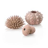 biOrb biOrb zee-egel set naturel