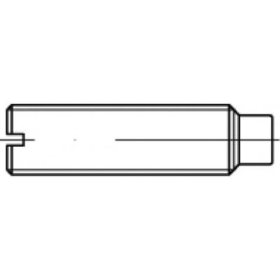 TOOLCRAFT TO-5435037 Draadpen M6 10 mm 100 stuk(s)