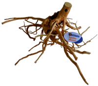 Superfish Spiderwood large