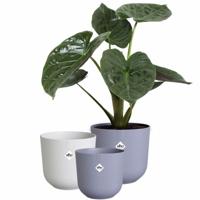 Bloempot Elho Jazz Wit Lila Plastic Cirkelvormig 3 Onderdelen
