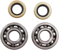 ALL BALLS Racing Crankshaft bearing set ab 24-1102 with simmerrings