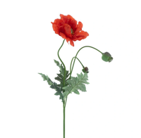 Poppy spray Casper red 93 cm kunstbloem Erutan Avon - Erutan avon
