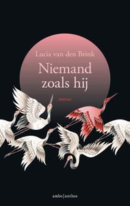 Niemand zoals hij - Lucia van den Brink - ebook