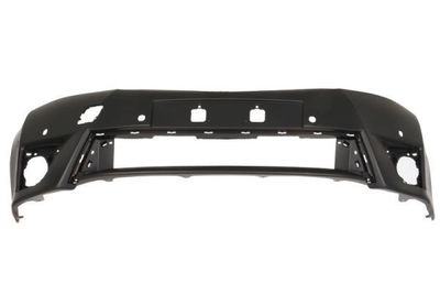 Bumper 5510008119902P