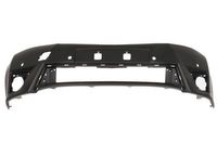 Bumper 5510008119902P