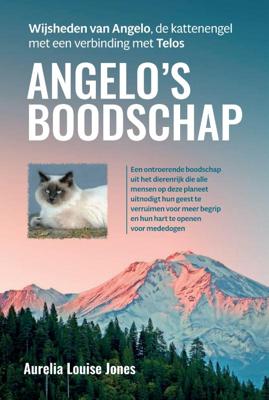 Angelo's boodschap (Paperback)