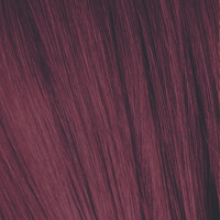 Schwarzkopf Igora Royal 60ml Schwarzkopf Igora Royal 60ml