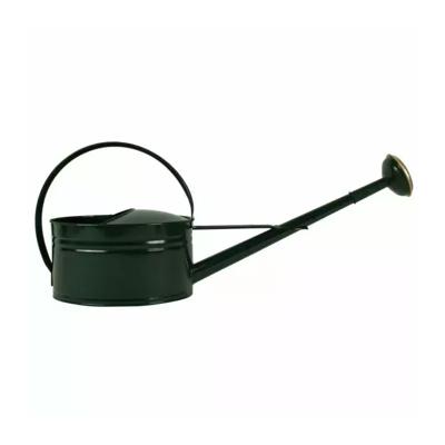Gieter - metaal - groen - 5 ltr - ovaal - tuingieter - tuinaccessoires