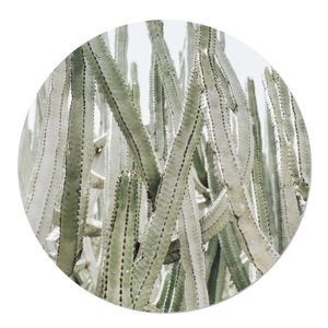 Tuincirkel Cactus 80