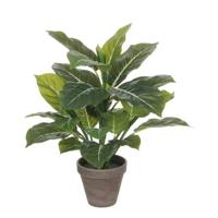 Mica Decorations Evergreen Kunstplant - H49 x Ø40 cm - Groen