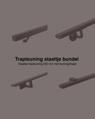 Set staaltjes trapleuningen gun metal