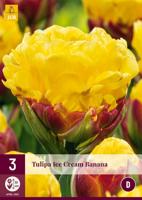 Tulp ice cream banana 3 bollen