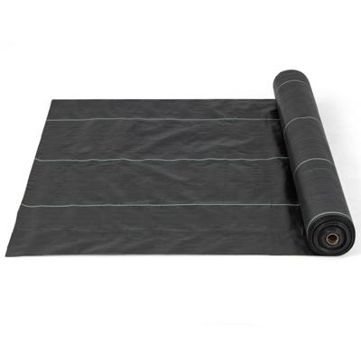 Onkruidbestrijdingsdoek PP Onkruidbestrijdingsdoek met Duidelijke Rechte Geleidelijn voor Tuinpaden Zwart 25 m x 2 m