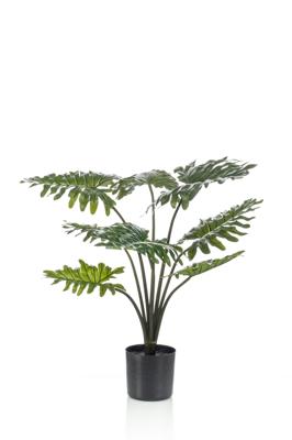 Kunstplant - Philodendron - 60 cm