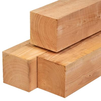 Paal douglas 20,0x20,0x600 cm Tuindeco - Tuindeco