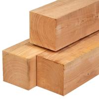 Paal douglas 20,0x20,0x600 cm Tuindeco - Tuindeco