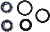 ALL BALLS Racing Wheel bearing sets 25-145 complete with simmerrings