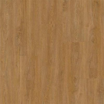 Therdex - XstraLong Planken 18040 (Plak PVC)
