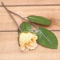 Bonbon doosjes - Chocolade doosje - Roos beige - 24 stuks