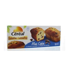 Cake mini choco glutenvrij