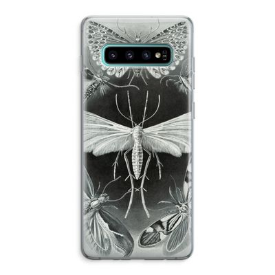 Haeckel Tineida: Samsung Galaxy S10 Plus Transparant Hoesje