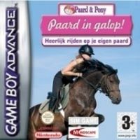 Paard en Pony Paard in Galop