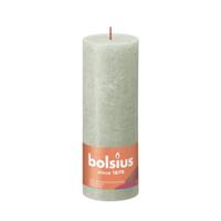 Bolsius rustieke stompkaars lichtgroen 19x6,8 cm Bolsius rustieke stompkaars lichtgroen 19x6,8 cm
