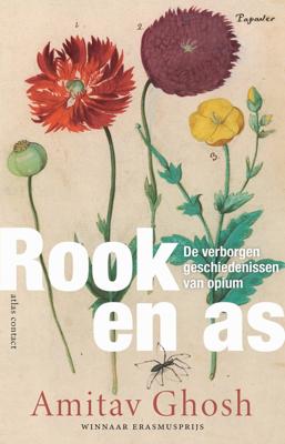 Rook en as - Amitav Ghosh - ebook
