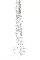 Kunstplant Tillandsia l82cm grijs header