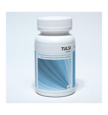 Tulsi ocimum sanctum