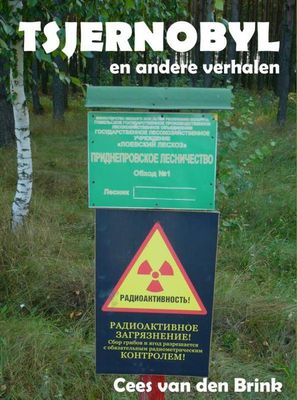 Tsjernobyl en andere verhalen - Cees van den Brink - ebook