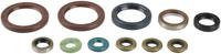 ATHENA Motorshield sx-f 450, 07-10,