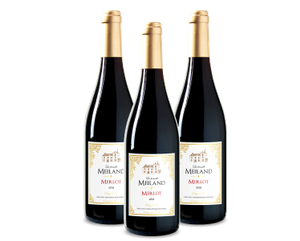 La famille Meiland Merlot (3 flessen)