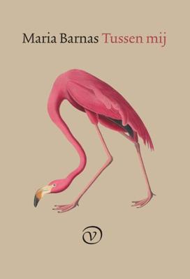 Tussen mij (Paperback)