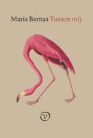 Tussen mij (Paperback)