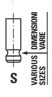 Uitlaatklep R6863RNT