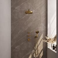 BRAUER Stripe Thermostatische Inbouw Regendouche - SET 04 - 25cm douchekop - rechte muurarm - 3-standen handdouche - doucheslang - wandaansluitbocht - goud geborsteld PVD 5-GG-371