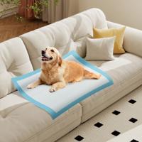 Trainingsmaterialen Honden Uitloopbestendig 6-laags Ontwerp Puppy-matten Puppy-Pads 90 x 90 cm 100 Stuks
