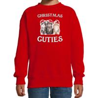 Katten Kittens Kersttrui sweater - Christmas cuties - rood - voor kinderen - Kerstkleding