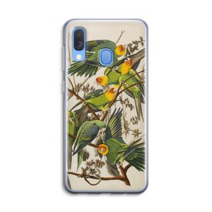 Carolinaparkiet: Samsung Galaxy A40 Transparant Hoesje