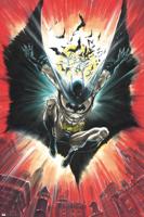 Poster DC Comics Batman Warner 100th 61x91,5cm