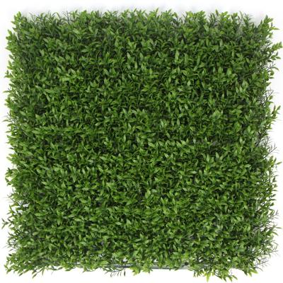 Kunstplantenwand FOLY Ruscus 1 m2