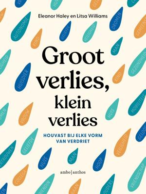 Groot verlies, klein verlies (Paperback)