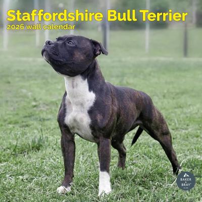 Staffordshire Bull Terrier Kalender 2026